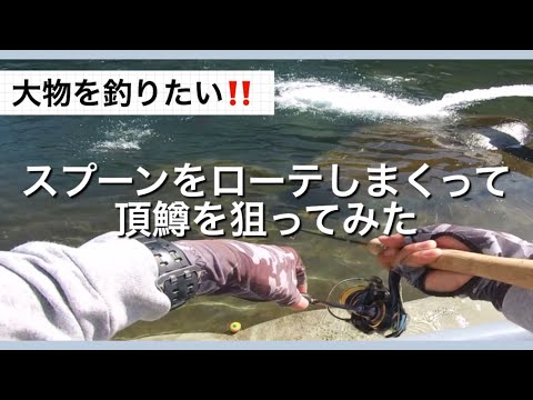 大物を釣りたい‼スプーンをローテしまくって頂鱒を狙ってみた【エリアトラウト】