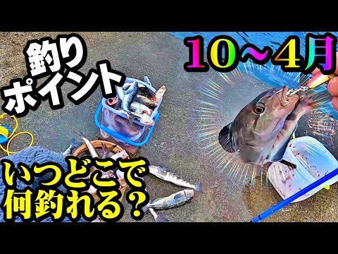 【釣り予習】北海道・ポイントと時期を予習復習・日本海・10月~4月・初心者・【総集編】:2022年