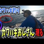 【内房】肝パンカワハギに出会えるのか？！カワハギ釣りデビューしたら大変な事になりました