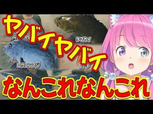 初海釣りでヒットする度に興奮するルーナ姫がかわいすぎる【姫森ルーナ/ホロライブ切り抜き】