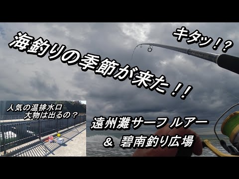 【 2022 10 遠州灘サーフ ＆ 碧南釣り広場 】 海釣りの面白い季節が来た！！ 【 ライトショアジギング サーフルアー エサ釣り 愛知県 】