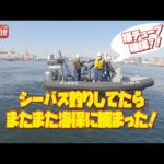 シーバス釣りしてたらまたまた海上保安庁に捕まった！