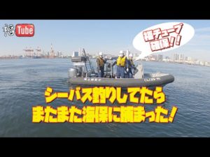 シーバス釣りしてたらまたまた海上保安庁に捕まった！