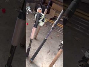 12キロ超の世界記録ブラックバスは私が釣ります