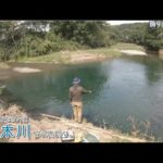 青梅市・飯能市の境 成木川で小物釣り。東京と埼玉の狭間の川は綺麗な川でした！