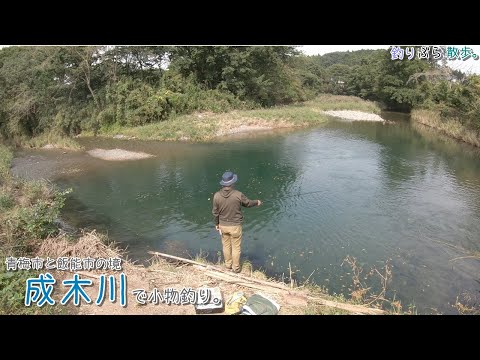 青梅市・飯能市の境 成木川で小物釣り。東京と埼玉の狭間の川は綺麗な川でした！