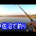 伊佐沼で釣り、あの魚にリベンジなるか？