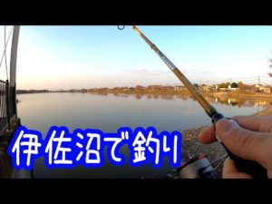 伊佐沼で釣り、あの魚にリベンジなるか？