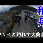釣り日記♯７７ 積丹エギング ヤリイカ釣れて大興奮！古平港にて