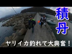 釣り日記♯７７ 積丹エギング ヤリイカ釣れて大興奮！古平港にて
