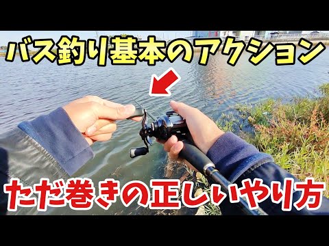 【バス釣り】ルアーアクションの基本、ただ巻きについて解説