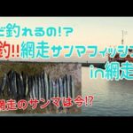 網走サンマ釣り in　網走港【北海道 道東 網走】【秋刀魚釣り】まだ釣れる？？網走の海に異変が・・・　第二弾