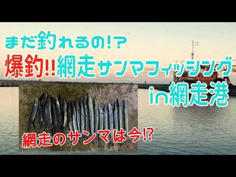 網走サンマ釣り in　網走港【北海道 道東 網走】【秋刀魚釣り】まだ釣れる？？網走の海に異変が・・・　第二弾