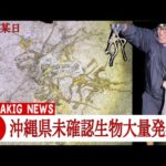 【沖縄釣り】大量発生している未確認生物を追え【イザリ】