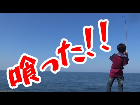 島根県浜田市　西沖堤防！壮大な900ｍの波止場で大物狙！@釣りに行こうか！