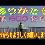 釣り動画ロマンを求めて 500釣目