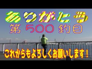 釣り動画ロマンを求めて 500釣目