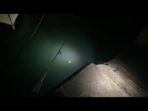 【LIVE】アジ釣って泳がせロマン釣りするだけのLIVE