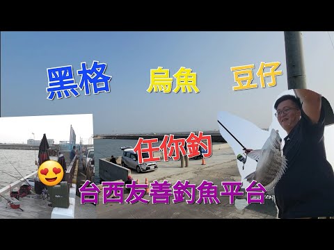 友善釣魚平台黑格.沙格.烏魚任你釣,友善釣魚 Fishing 台湾の釣り 낚시 câucá 爆釣 パチスロ
