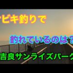 サビキ釣りで釣れているのは？吉良サンライズパーク