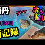【釣り】北海道ホッケ狙い・積丹・新記録：2022年11月