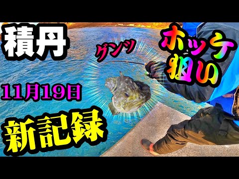 【釣り】北海道ホッケ狙い・積丹・新記録：2022年11月