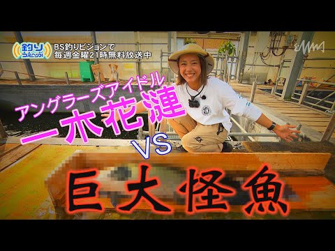 一木花漣vsピラルク！　釣りうぇ～ぶ第168回