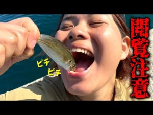 釣りたての生きたアジを丸ごと…※絶対真似しないでください