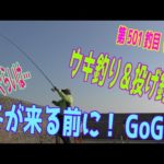 釣り動画ロマンを求めて 501釣目（前編）
