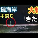 【大磯海岸】夜釣り　電気ウキで大物きた！餌はアオイソメ  2022年11月下旬 若潮