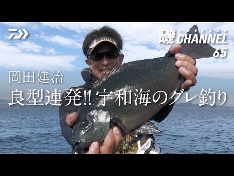 岡田建治「良型連発!! 宇和海のグレ釣り」|第六十五回 磯ちゃんねる