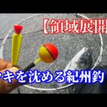 穂先でアタリを取る紀州釣り@tsurikenmovie