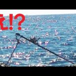 【石鯛釣り】ヤバい、事故った…（77）