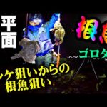 【釣り】北海道ホッケ狙いからの古平根魚狙い・投げ釣り・ロックフィッシュ：2022年11月