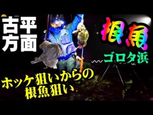 【釣り】北海道ホッケ狙いからの古平根魚狙い・投げ釣り・ロックフィッシュ:2022年11月