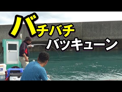 バチバチバキューンで高級五目・ナンでも釣れる「イワシエサの釣り」