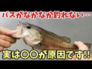 【超解説】バス釣り初心者がなかなか釣れない３つの原因