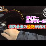 うなぎ釣りのはずがダイソーロッドとダイソーリールで堤防最強の怪物が釣れた。ダイソーの釣り具の底力が凄い！