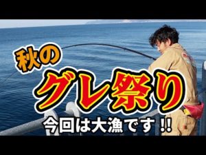 爆釣！フカセ釣りで秋のグレ祭り！