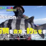 【石鯛釣り】特別企画！　🔰宮崎県延岡市の初心者石鯛釣り師さんに、石鯛釣りの楽しさを伝えに行ってきました！