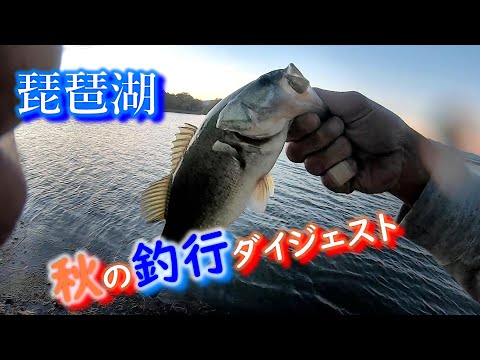 釣れてはいるんですが……。【琵琶湖バス釣り】