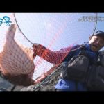 【釣り百景】#463 投げ釣りの冬シーズン突入！ 北海道・道南で大型カレイが乱舞