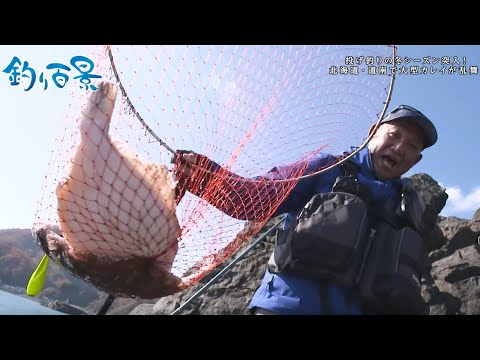 【釣り百景】#463 投げ釣りの冬シーズン突入！ 北海道・道南で大型カレイが乱舞