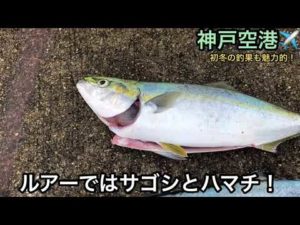 【神戸空港】今朝の状況です。初冬の釣りもの♪fishingmax神戸ハーバー店2022/11/30