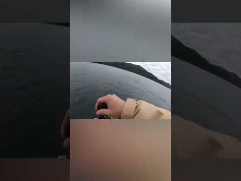 レイクトローリングでヒット。当たる前からランディングまで。【芦ノ湖】#shorts #釣り