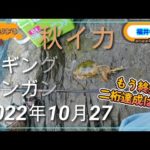 【2022年10月27日 釣りある】 秋イカ エギング ランガン その3　ｼｰｽﾞﾝ終盤　二桁釣果達成はギリな状況　in福井