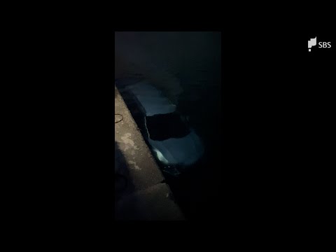 車が岸壁から海に転落 釣り人が海に飛び込み、運転の高齢男性救出 命に別状なしー静岡・沼津市