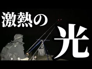 ついに「釣りなら鈴」始動‼️