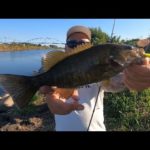 【小貝川バス釣り】小貝川　伊奈橋付近　又八沼でバスを狙う！バス釣りオススメポイント【バス釣り】