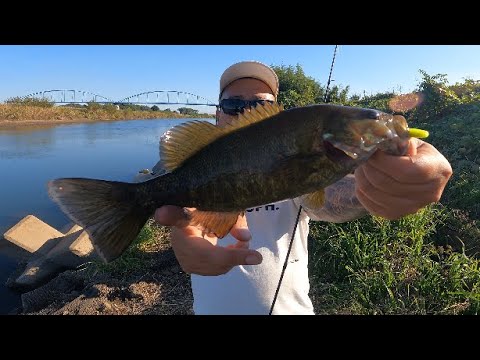 【小貝川バス釣り】小貝川　伊奈橋付近　又八沼でバスを狙う！バス釣りオススメポイント【バス釣り】